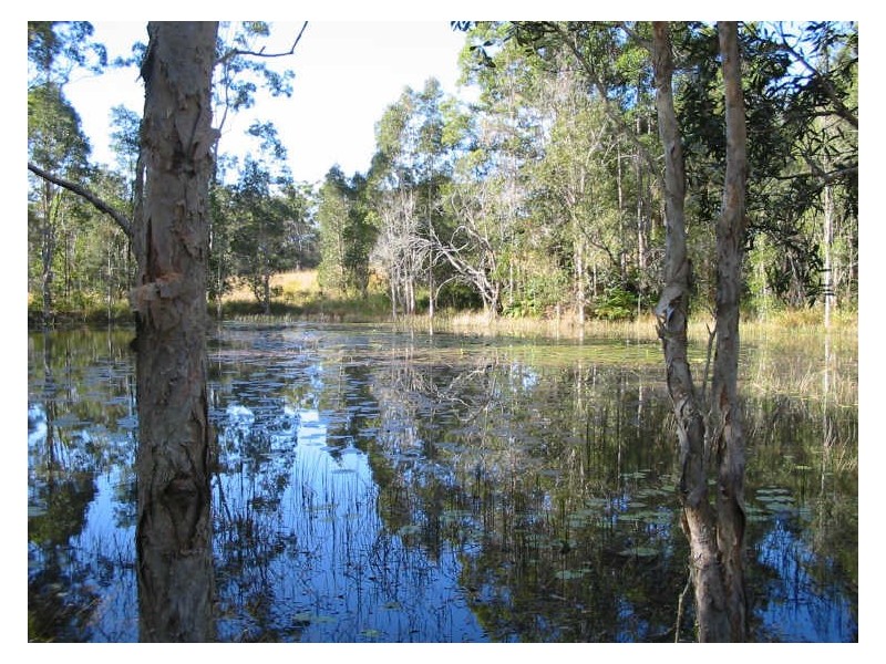 231 Allandale Rd, Ninderry QLD 4561