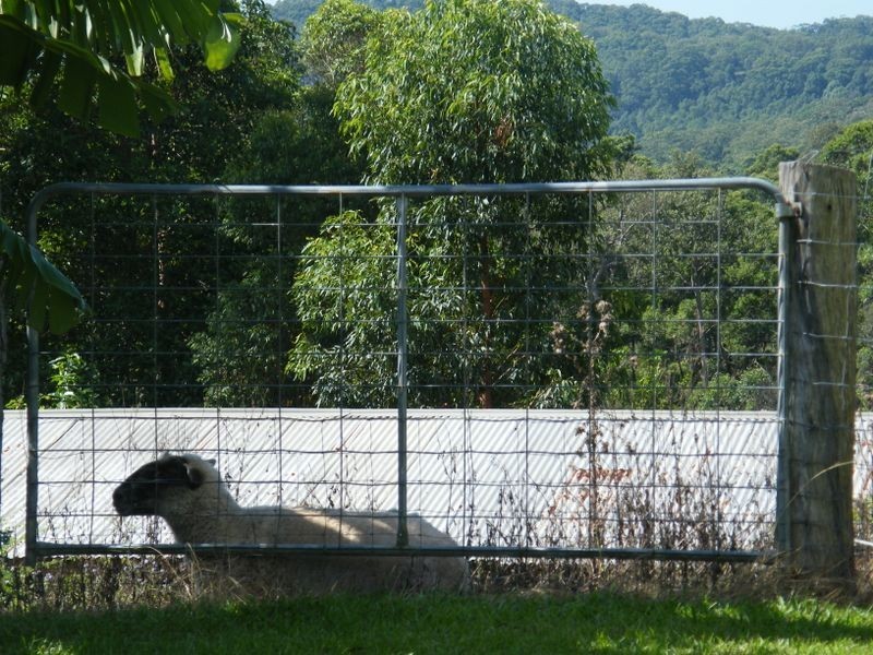231 Allandale Rd, Ninderry QLD 4561