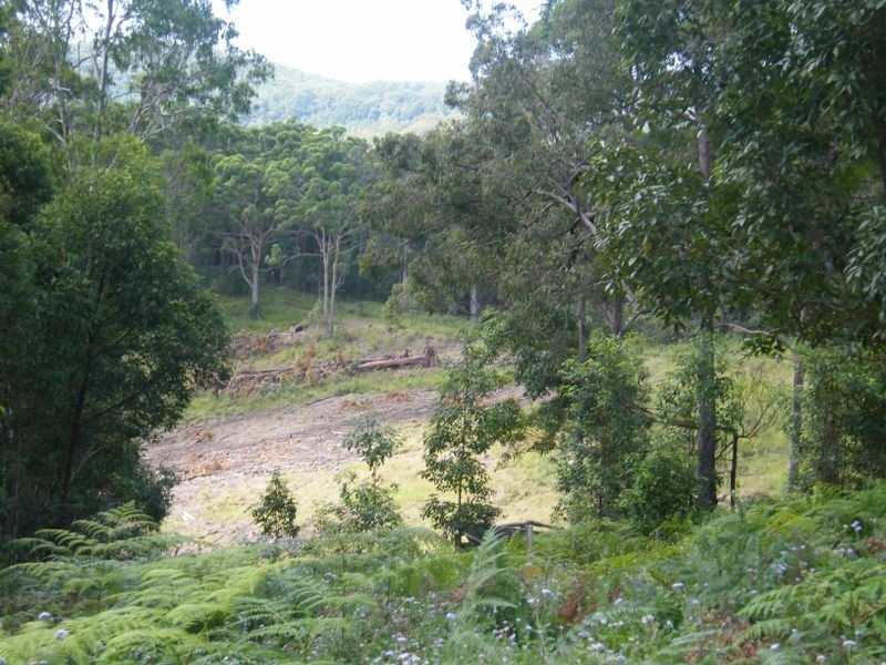 231 Allandale Rd, Ninderry QLD 4561