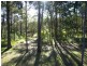 255 Peregian Springs Drive, Peregian Beach QLD 4573