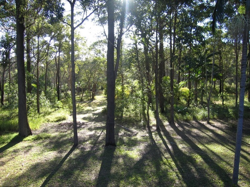 255 Peregian Springs Drive, Peregian Beach QLD 4573