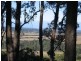 61 Chants Road, Ninderry QLD 4561