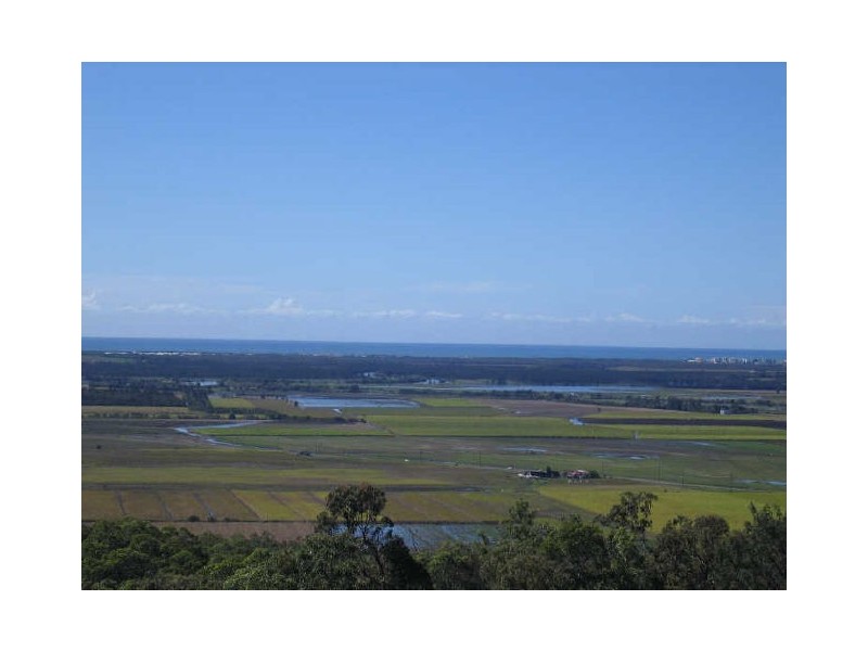 9 Caladenia Ct, Maroochy River QLD 4561