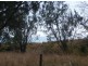 63 The Esplanade, Bucasia QLD 4750