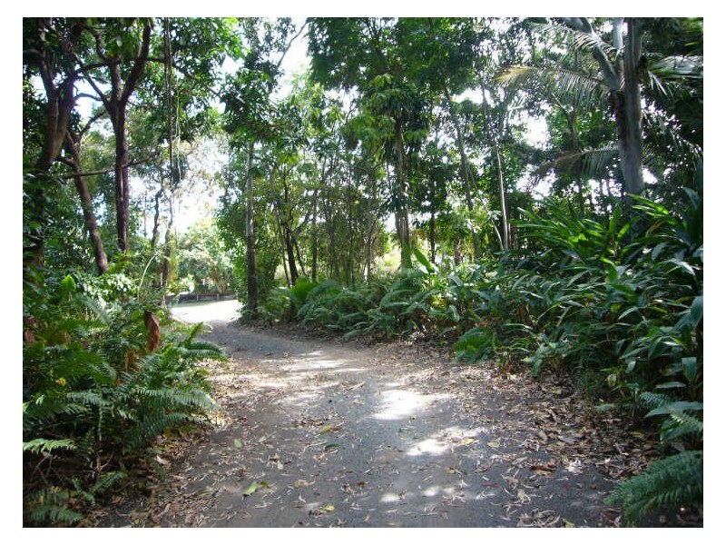 164 Waverley Street, Bucasia QLD 4750