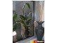 29 Gingham Street, Glenella QLD 4740