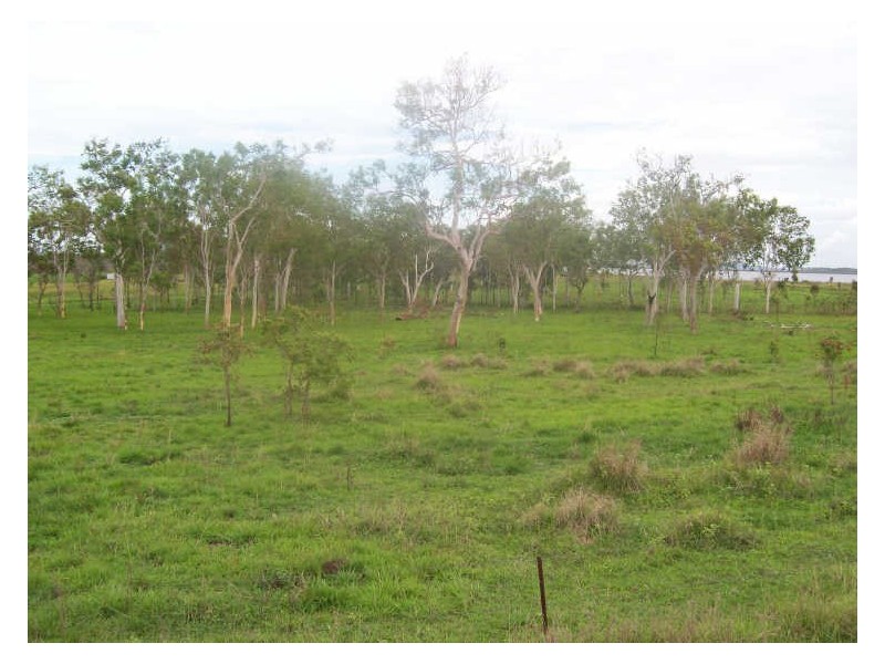 Lot 12 Leichhardt Road, Mirani QLD 4754