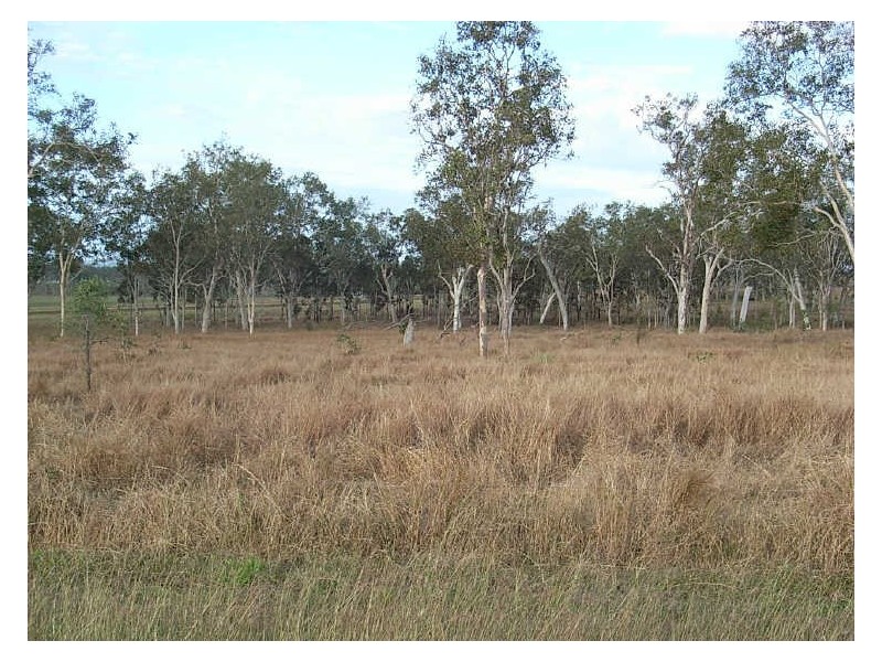Lot 12 Leichhardt Road, Mirani QLD 4754