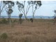 Lot 12 Leichhardt Road, Mirani QLD 4754