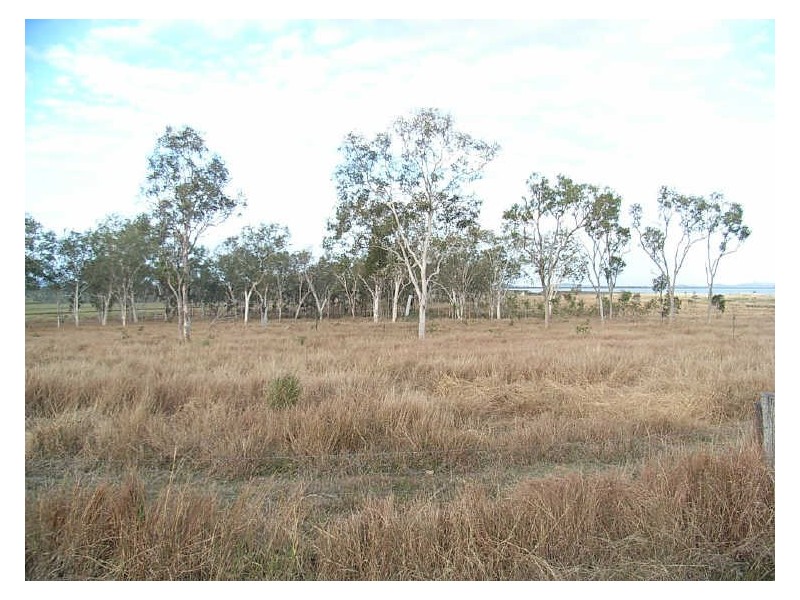 Lot 12 Leichhardt Road, Mirani QLD 4754