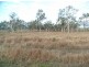 Lot 12 Leichhardt Road, Mirani QLD 4754