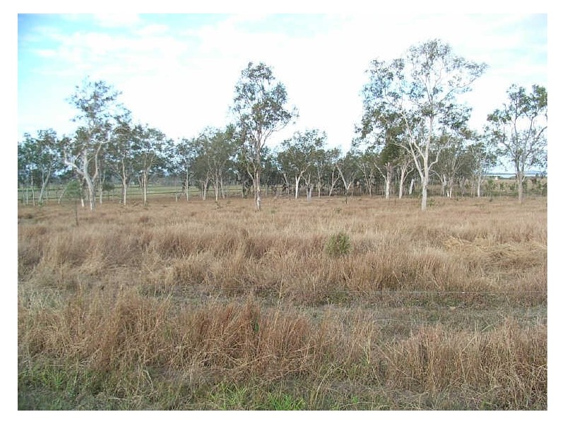 Lot 12 Leichhardt Road, Mirani QLD 4754