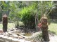 42 Sologinkins Road, Rural View QLD 4740