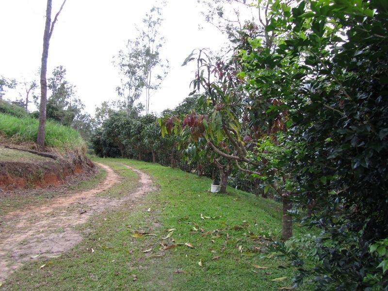 36 Gakowskis Road, Mirani QLD 4754