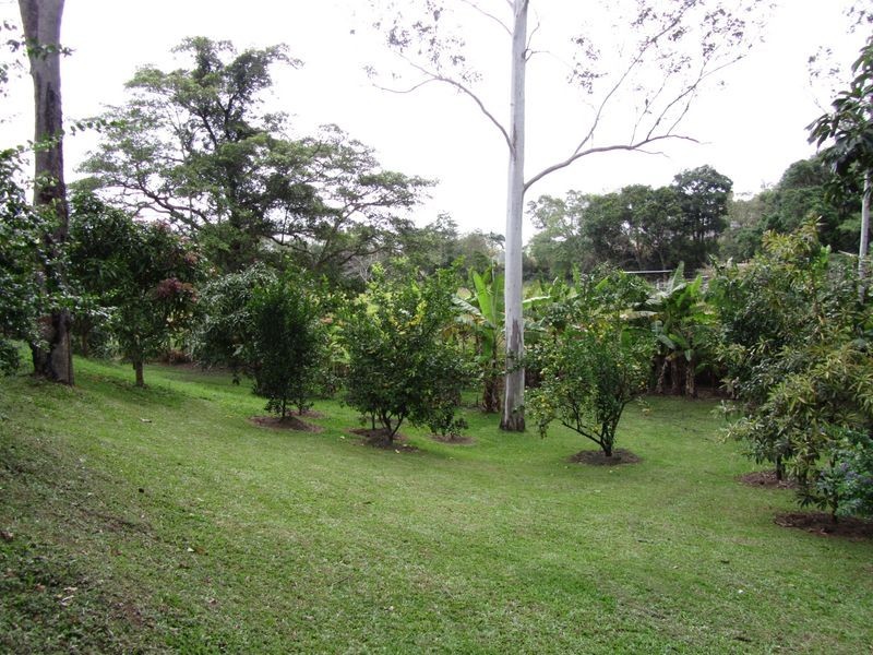 36 Gakowskis Road, Mirani QLD 4754
