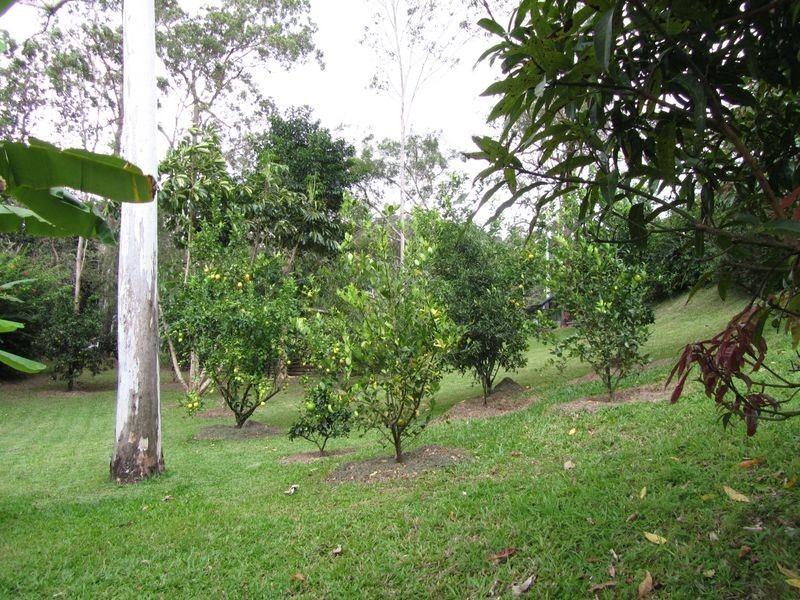 36 Gakowskis Road, Mirani QLD 4754