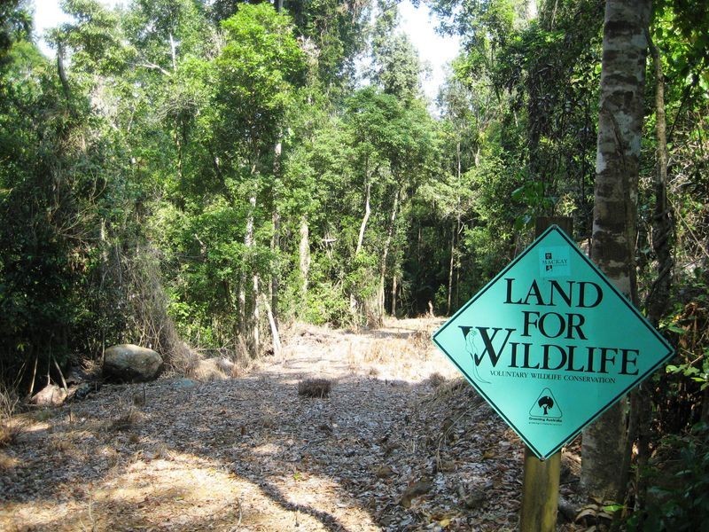 Dunwoody Rd, Ball Bay QLD 4741