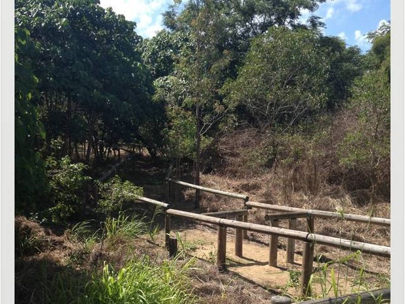 67 Corella Way, Blacks Beach QLD 4740