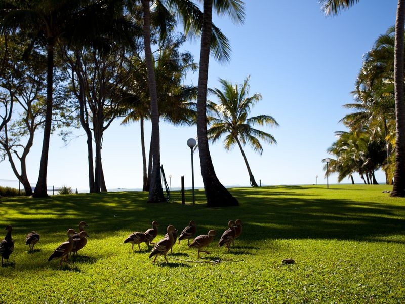 2/18 Beach Road, Dolphin Heads QLD 4740