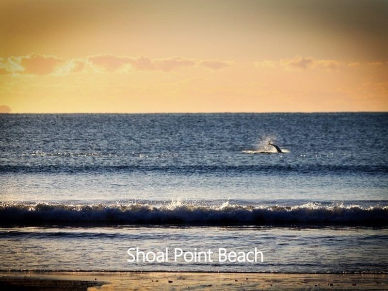 29 Portside Place, Shoal Point QLD 4750