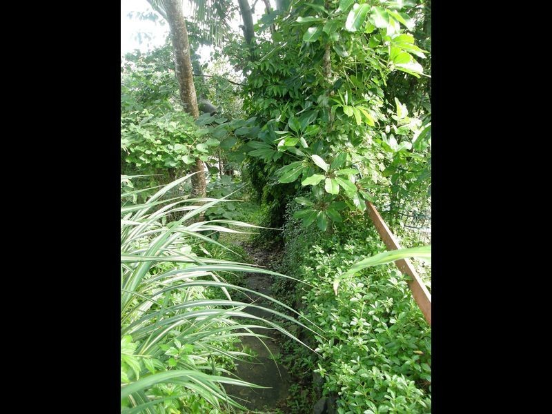 64-66 Mango Avenue, Eimeo QLD 4740