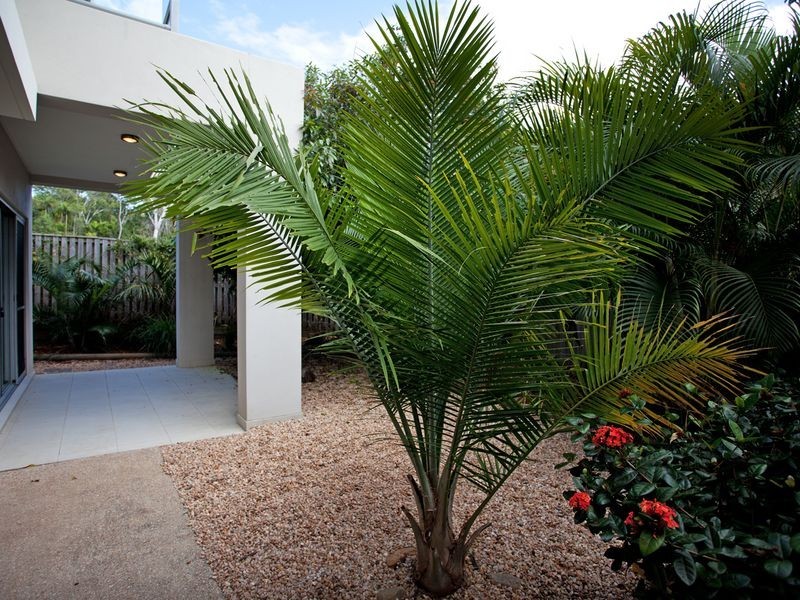 5/6-24 Belangason Way, Shoal Point QLD 4750