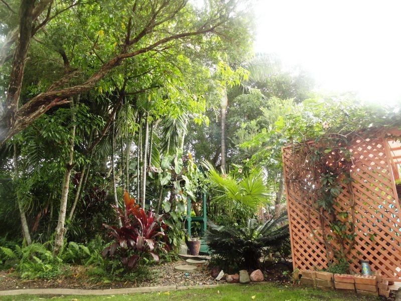 28 Danastas Avenue, Eimeo QLD 4740