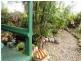 28 Danastas Avenue, Eimeo QLD 4740