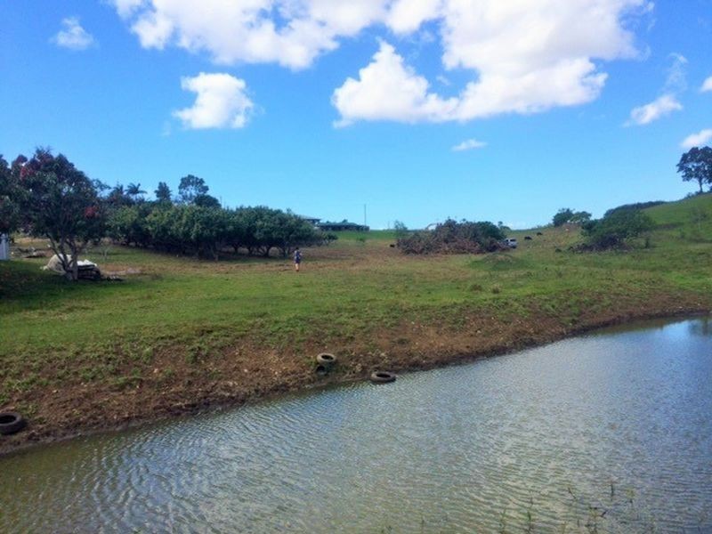 77 Mdina Road, Habana QLD 4740