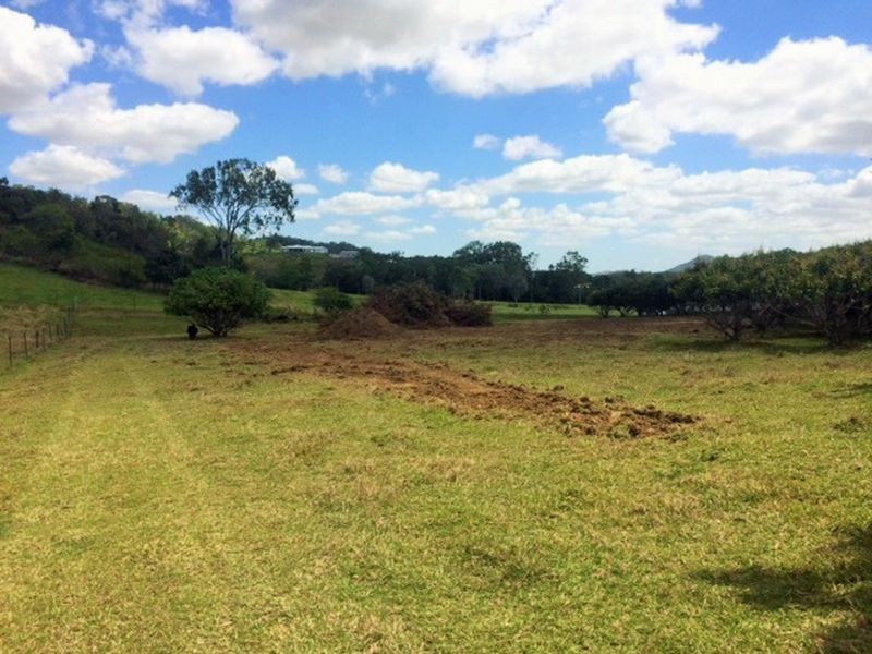 77 Mdina Road, Habana QLD 4740