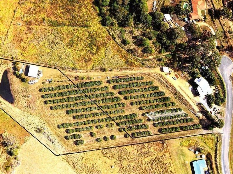 77 Mdina Road, Habana QLD 4740