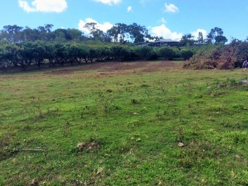 77 Mdina Road, Habana QLD 4740