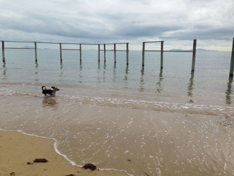 9 St. Bees Avenue, Bucasia QLD 4750