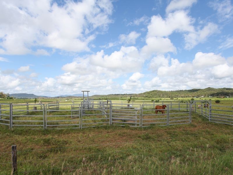 45 Camelzulis Road, Alligator Creek QLD 4740