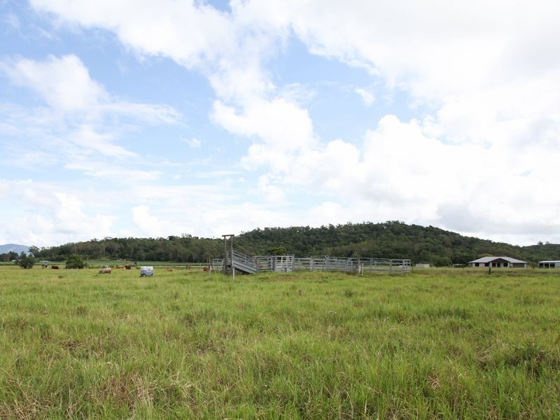 45 Camelzulis Road, Alligator Creek QLD 4740