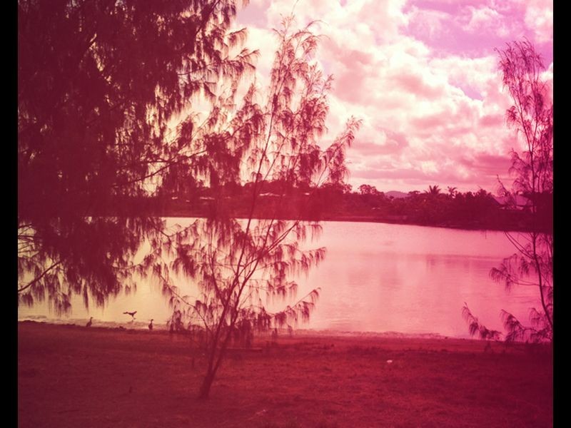 55 Admiral Drive, Dolphin Heads QLD 4740