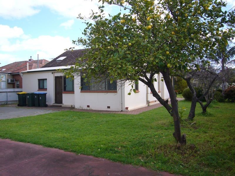 11 Lorraine Avenue, Manningham SA 5086