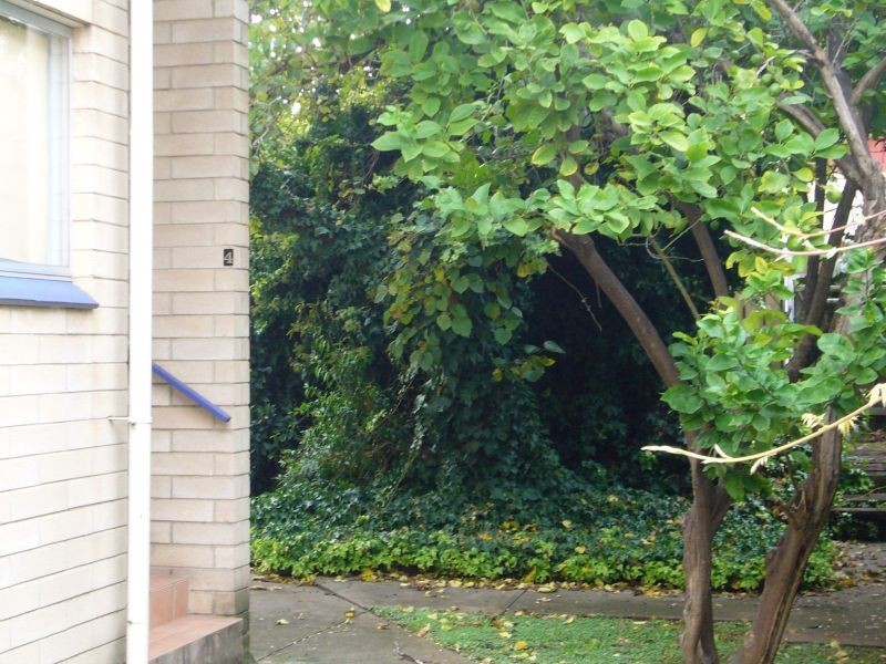 4/3 Steuart Place, North Adelaide SA 5006