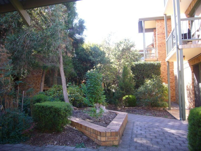 30/22 Cambridge Street, North Adelaide SA 5006