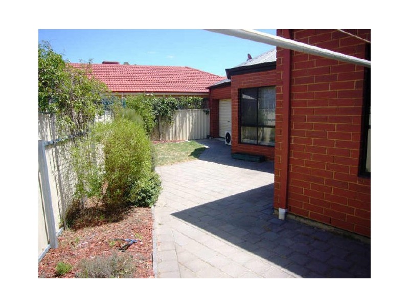 8B Napier Street, Renown Park SA 5008