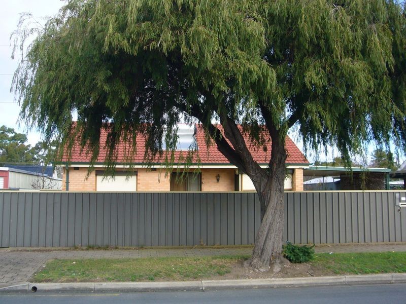 115 Redward Avenue, Greenacres SA 5086