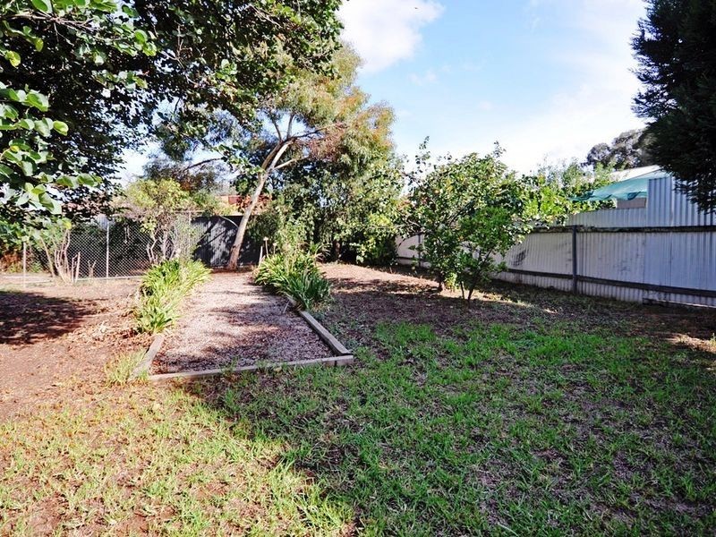 13 Barnes Avenue, Magill SA 5072