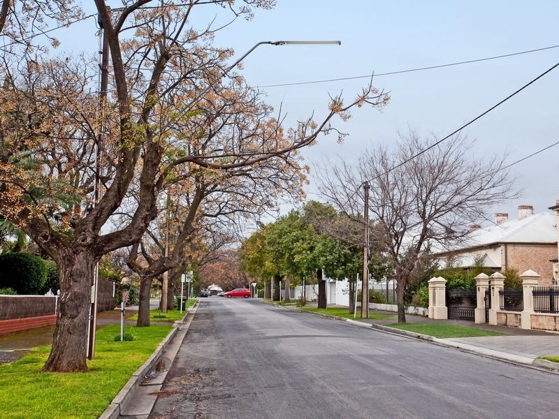 3/9 Elderslie Avenue, Fitzroy SA 5082