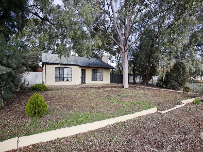 20 Learmonth Terrace, Enfield SA 5085