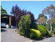 3 Lilac Street, Tea Tree Gully SA 5091