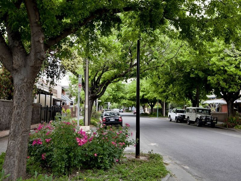 7/162 Gover Street, North Adelaide SA 5006