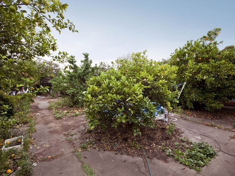 92 Albert Street, Prospect SA 5082