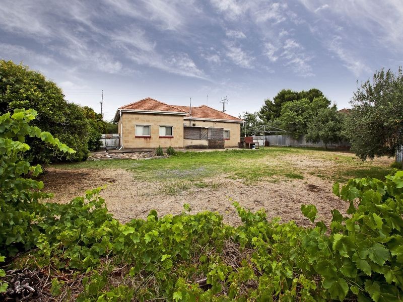 23 Collins Street, Enfield SA 5085
