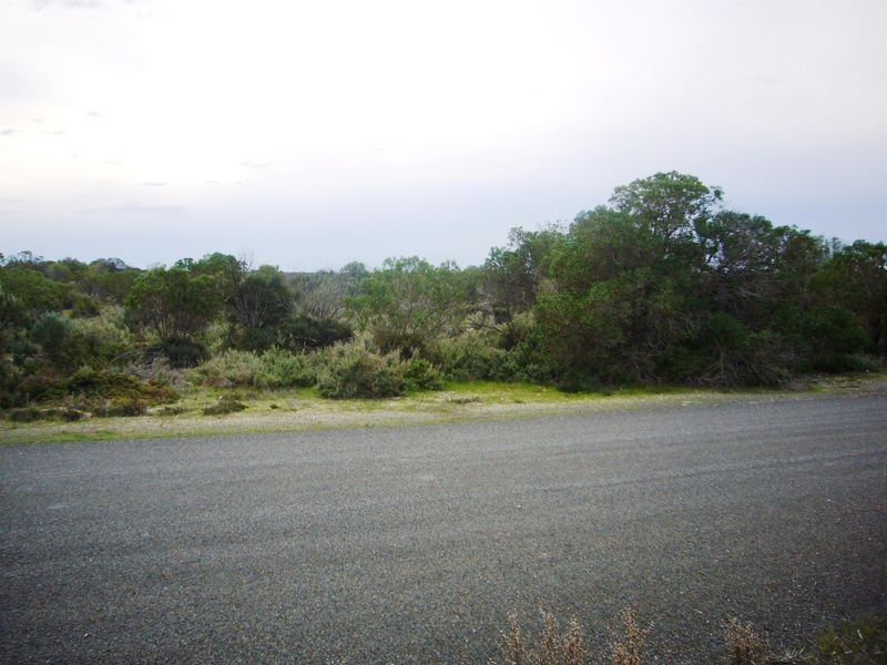 15 Petrel Crescent, Thompson Beach SA 5501