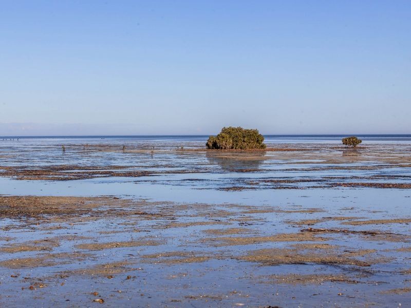 15 Petrel Crescent, Thompson Beach SA 5501